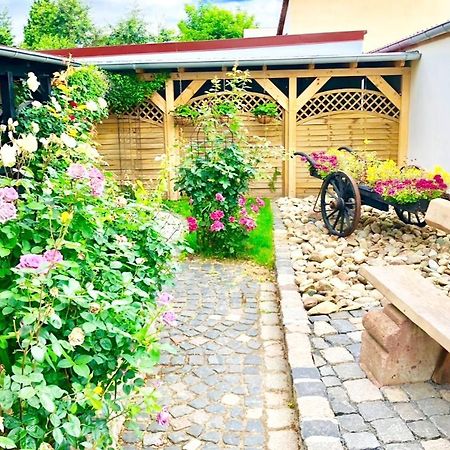 Ferienwohnungen Grimma 4 المظهر الخارجي الصورة